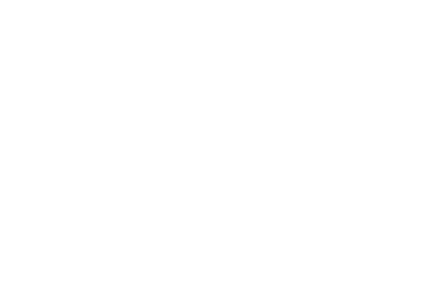 Simple Healthy Life LLC logo